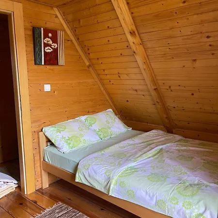 Brvnare Lodge